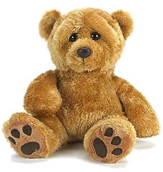 a teddy bear
